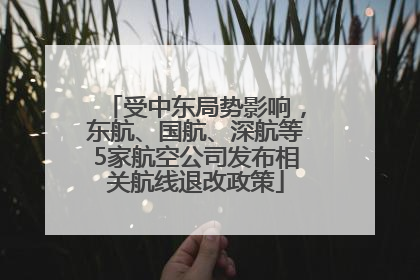 受中东局势影响，东航、国航、深航等5家航空公司发布相关航线退改政策