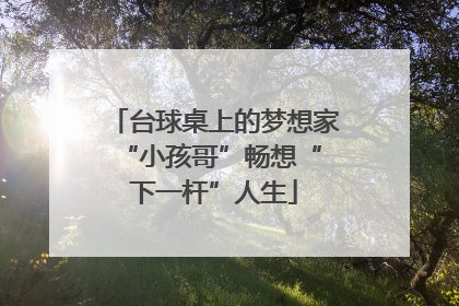 台球桌上的梦想家 “小孩哥”畅想“下一杆”人生