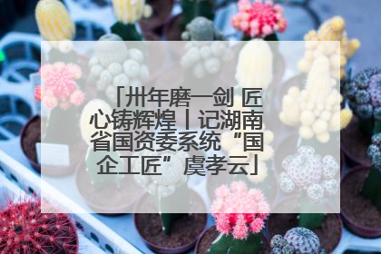 卅年磨一剑 匠心铸辉煌丨记湖南省国资委系统“国企工匠”虞孝云