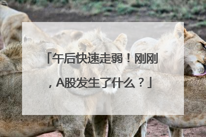 午后快速走弱！刚刚，A股发生了什么？