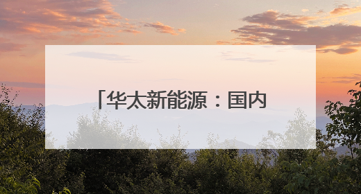 华太新能源：国内先锋奋争国际龙头