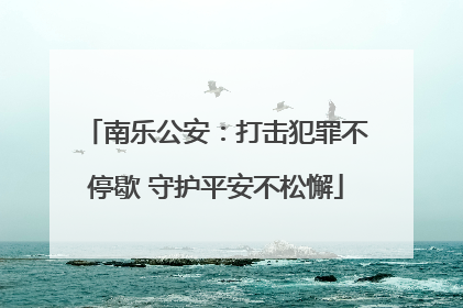 南乐公安：打击犯罪不停歇 守护平安不松懈