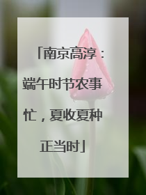 南京高淳：端午时节农事忙，夏收夏种正当时