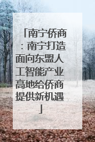 南宁侨商：南宁打造面向东盟人工智能产业高地给侨商提供新机遇
