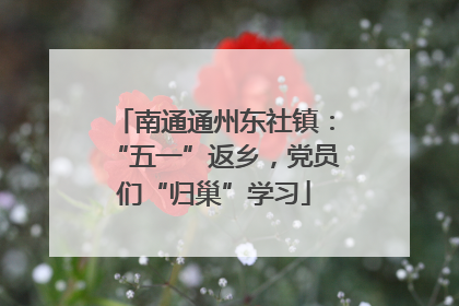 南通通州东社镇：“五一”返乡，党员们“归巢”学习