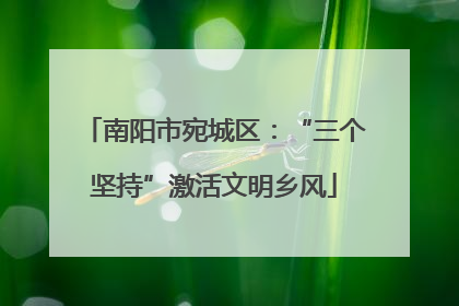 南阳市宛城区：“三个坚持”激活文明乡风