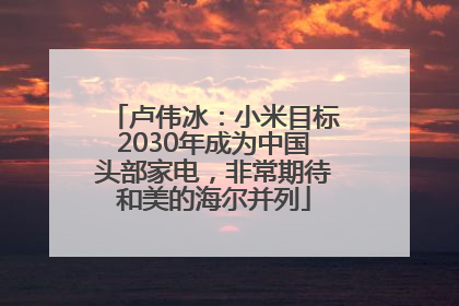 卢伟冰：小米目标2030年成为中国头部家电，非常期待和美的海尔并列