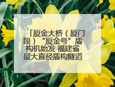 厦金大桥（厦门段）“厦金号”盾构机始发 福建省最大直径盾构隧道正式掘进