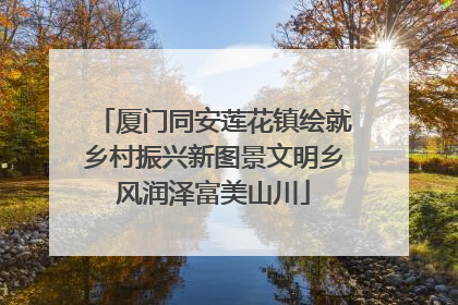 厦门同安莲花镇绘就乡村振兴新图景文明乡风润泽富美山川