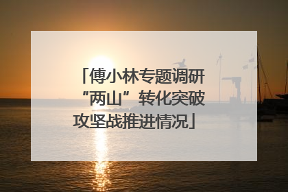 傅小林专题调研“两山”转化突破攻坚战推进情况