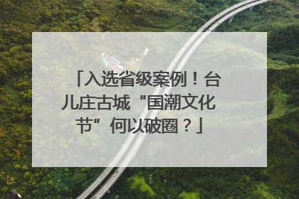 入选省级案例！台儿庄古城“国潮文化节”何以破圈？