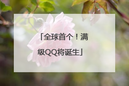 全球首个！满级QQ将诞生