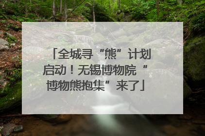 全城寻“熊”计划启动！无锡博物院“博物熊抱集”来了