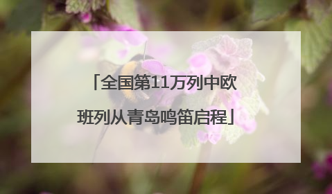 全国第11万列中欧班列从青岛鸣笛启程