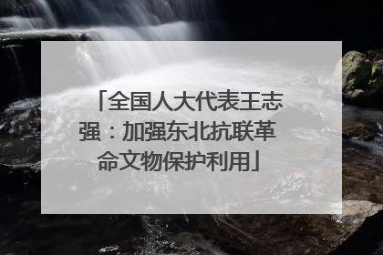 全国人大代表王志强：加强东北抗联革命文物保护利用