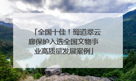 全国十佳！蜀道翠云廊保护入选全国文物事业高质量发展案例
