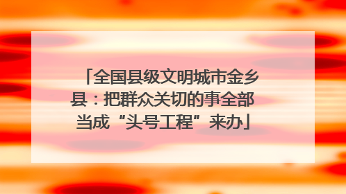 全国县级文明城市金乡县：把群众关切的事全部当成“头号工程”来办