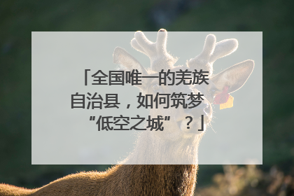 全国唯一的羌族自治县，如何筑梦“低空之城”？