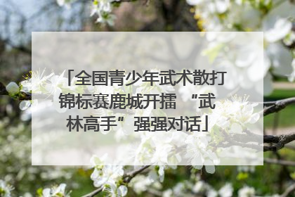 全国青少年武术散打锦标赛鹿城开擂 “武林高手”强强对话