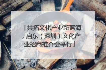 共拓文化产业新蓝海，启东（深圳）文化产业招商推介会举行