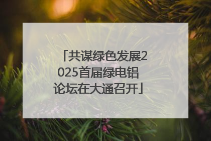 共谋绿色发展2025首届绿电铝论坛在大通召开