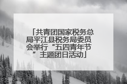 共青团国家税务总局平江县税务局委员会举行“五四青年节”主题团日活动