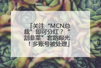 关注“MCN总裁”即可分红？“割韭菜”套路曝光！多账号被处理