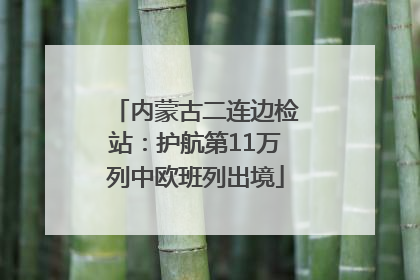 内蒙古二连边检站：护航第11万列中欧班列出境
