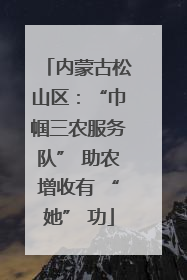 内蒙古松山区：“巾帼三农服务队” 助农增收有 “她” 功
