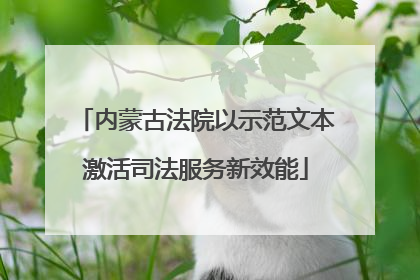 内蒙古法院以示范文本激活司法服务新效能