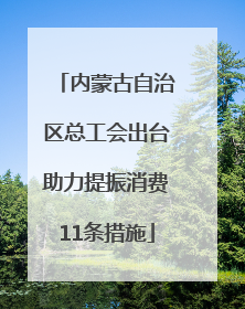 内蒙古自治区总工会出台助力提振消费11条措施