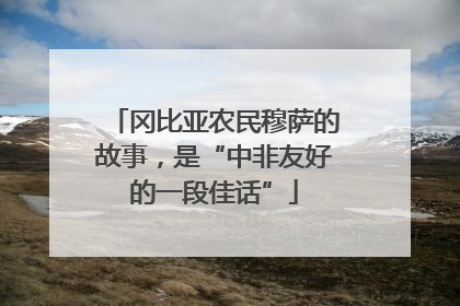 冈比亚农民穆萨的故事，是“中非友好的一段佳话”