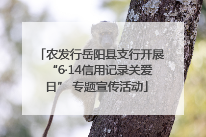 农发行岳阳县支行开展“6·14信用记录关爱日” 专题宣传活动