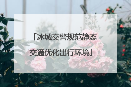 冰城交警规范静态交通优化出行环境