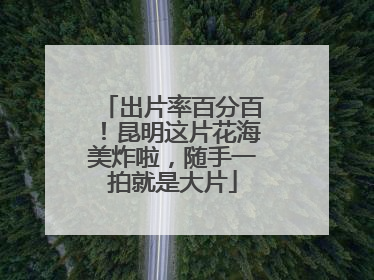 出片率百分百！昆明这片花海美炸啦，随手一拍就是大片