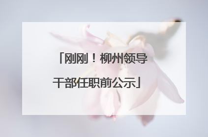 刚刚！柳州领导干部任职前公示