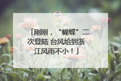 刚刚，“蝴蝶”二次登陆 台风给到浙江风雨不小！