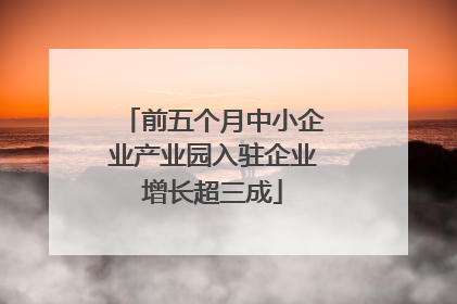 前五个月中小企业产业园入驻企业增长超三成