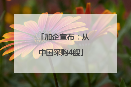 加企宣布：从中国采购4艘