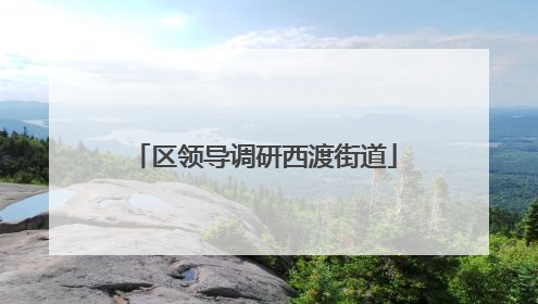 区领导调研西渡街道