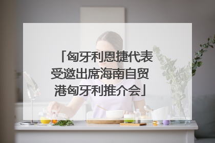 匈牙利恩捷代表受邀出席海南自贸港匈牙利推介会