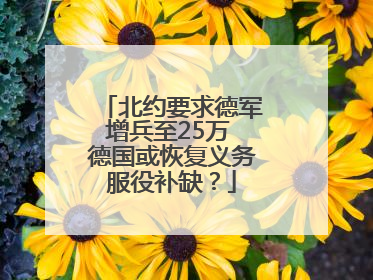 北约要求德军增兵至25万 德国或恢复义务服役补缺？