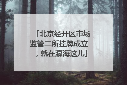 北京经开区市场监管二所挂牌成立，就在瀛海这儿