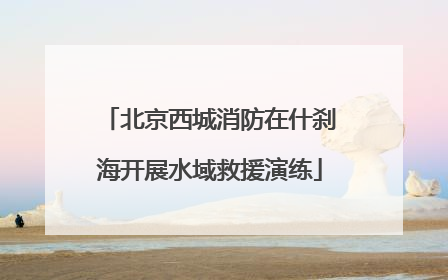 北京西城消防在什刹海开展水域救援演练