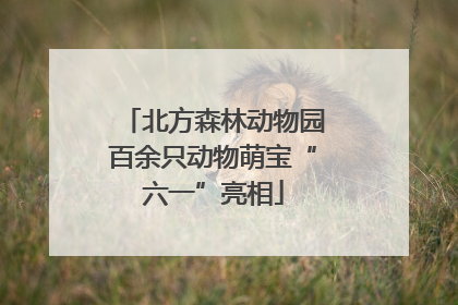 北方森林动物园百余只动物萌宝“六一”亮相