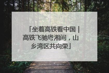 坐着高铁看中国｜高铁飞驰粤湘间，山乡湾区共向荣