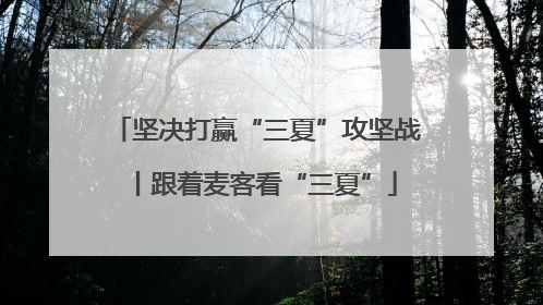 坚决打赢“三夏”攻坚战丨跟着麦客看“三夏”
