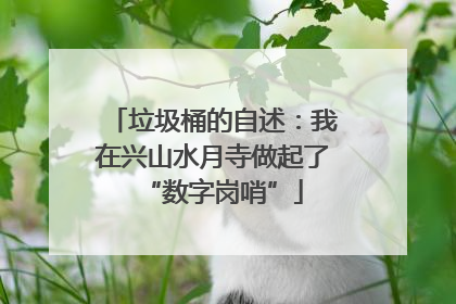垃圾桶的自述：我在兴山水月寺做起了“数字岗哨”