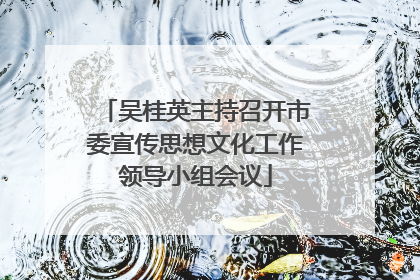 吴桂英主持召开市委宣传思想文化工作领导小组会议