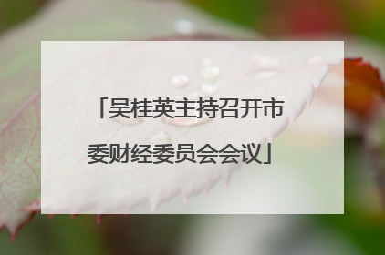 吴桂英主持召开市委财经委员会会议